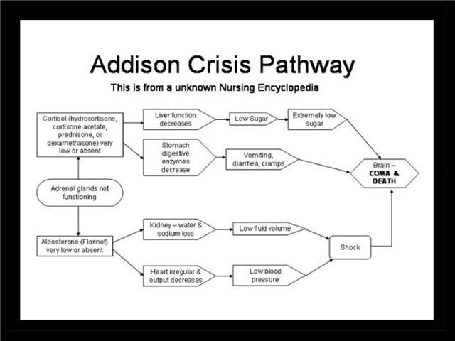 addisonpathwaylargewebview