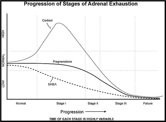 adrenalfatigue2